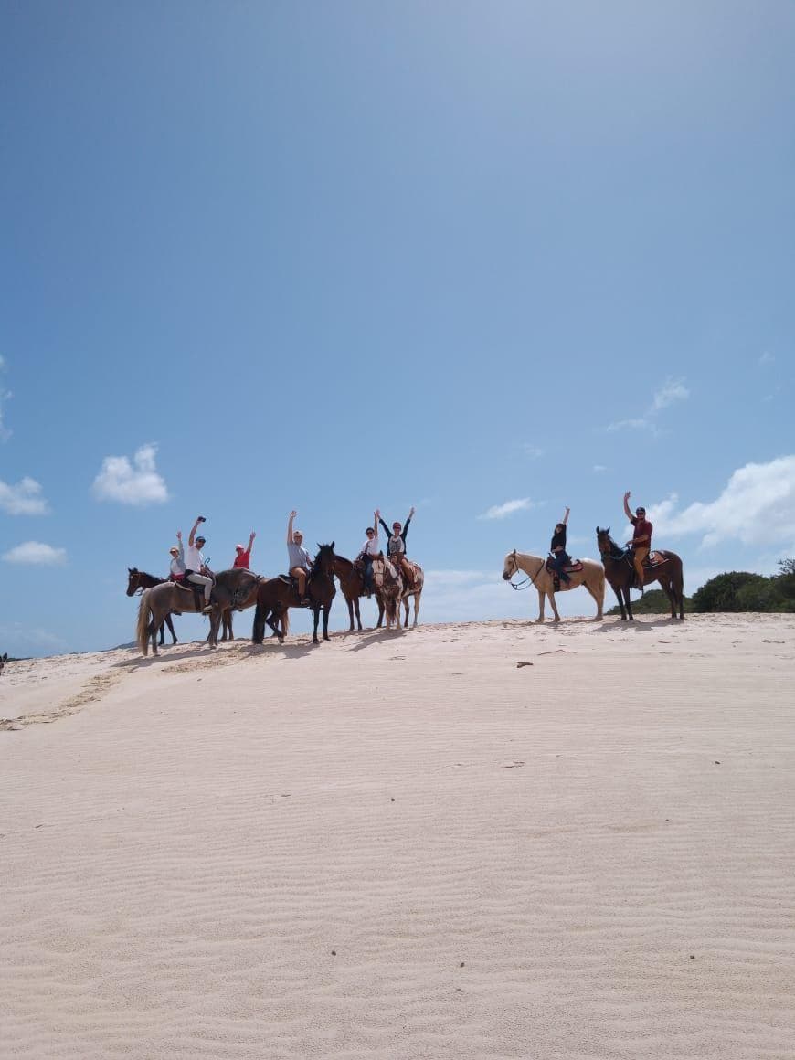 Passeio a Cavalho